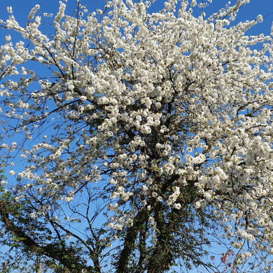 En Helene Hoeve * Venhorst
