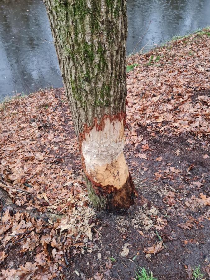En Helene Hoeve Venhorst