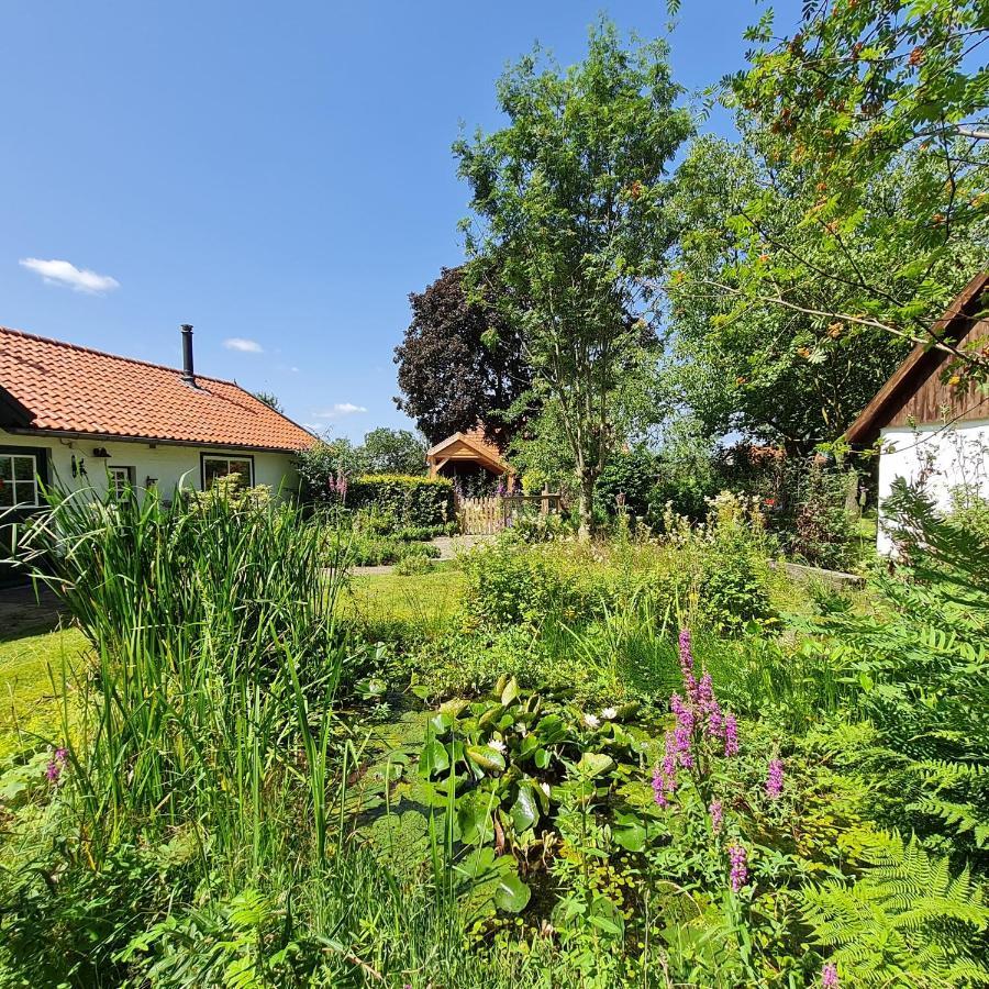 En Helene Hoeve Bed & Breakfast