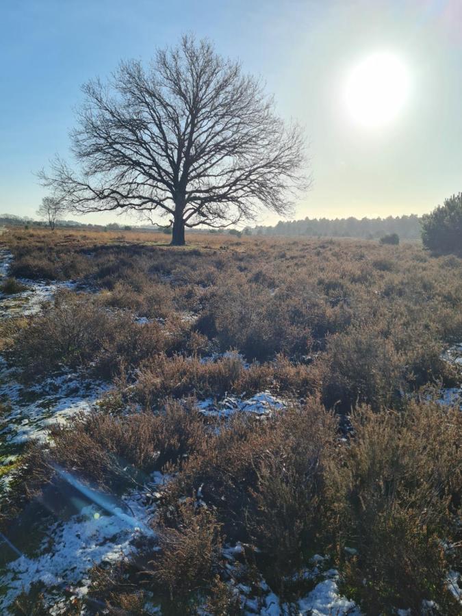 En Helene Hoeve *