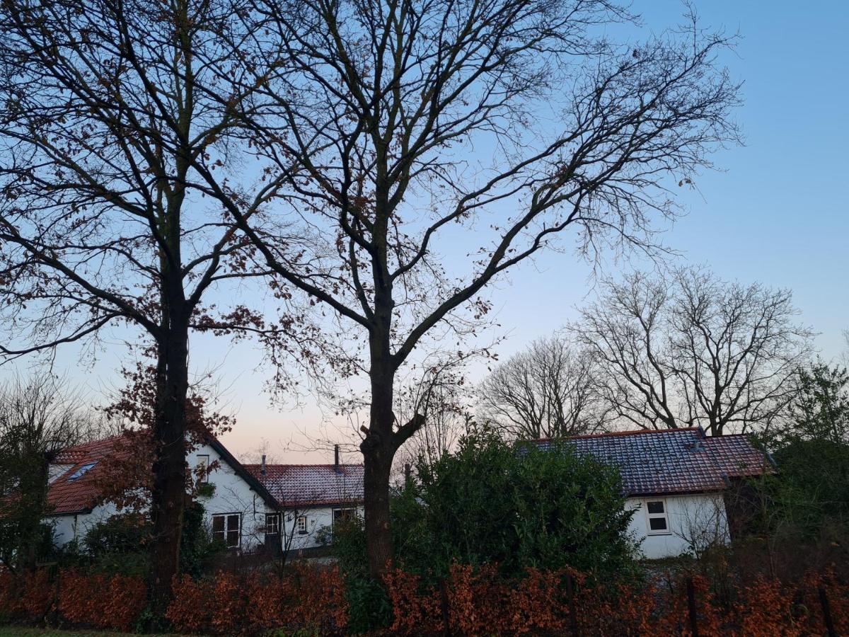 En Helene Hoeve Venhorst