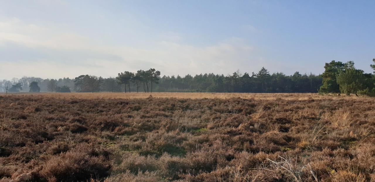 Bed & Breakfast Helene Hoeve