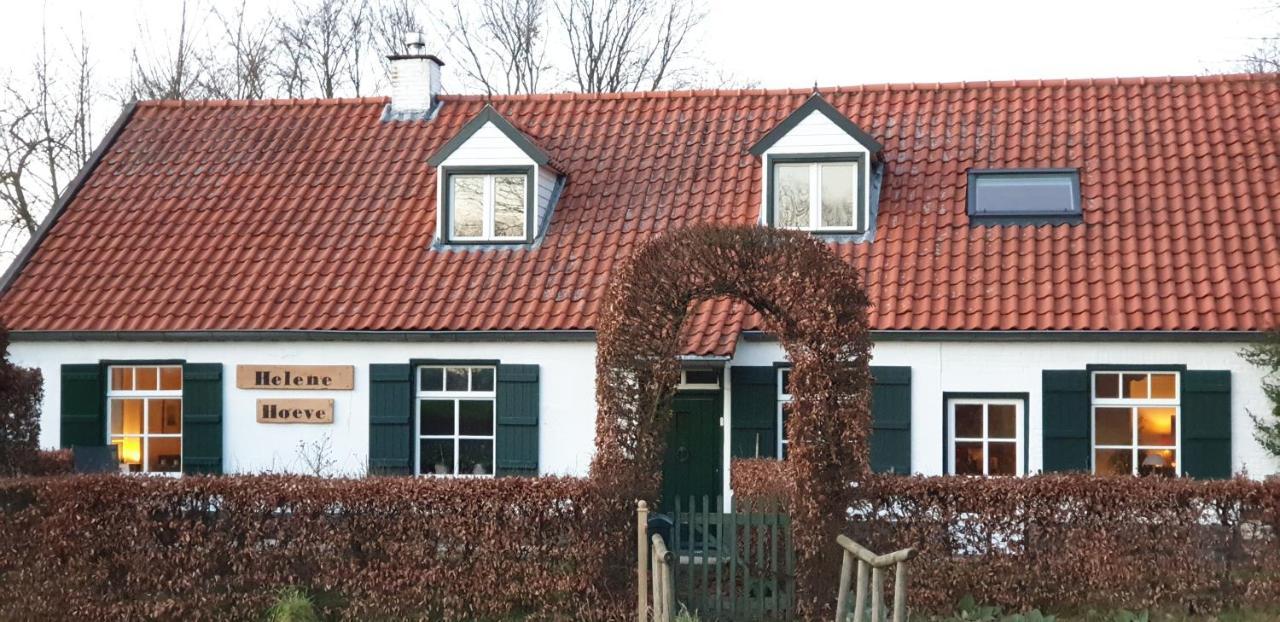 Helene Hoeve *