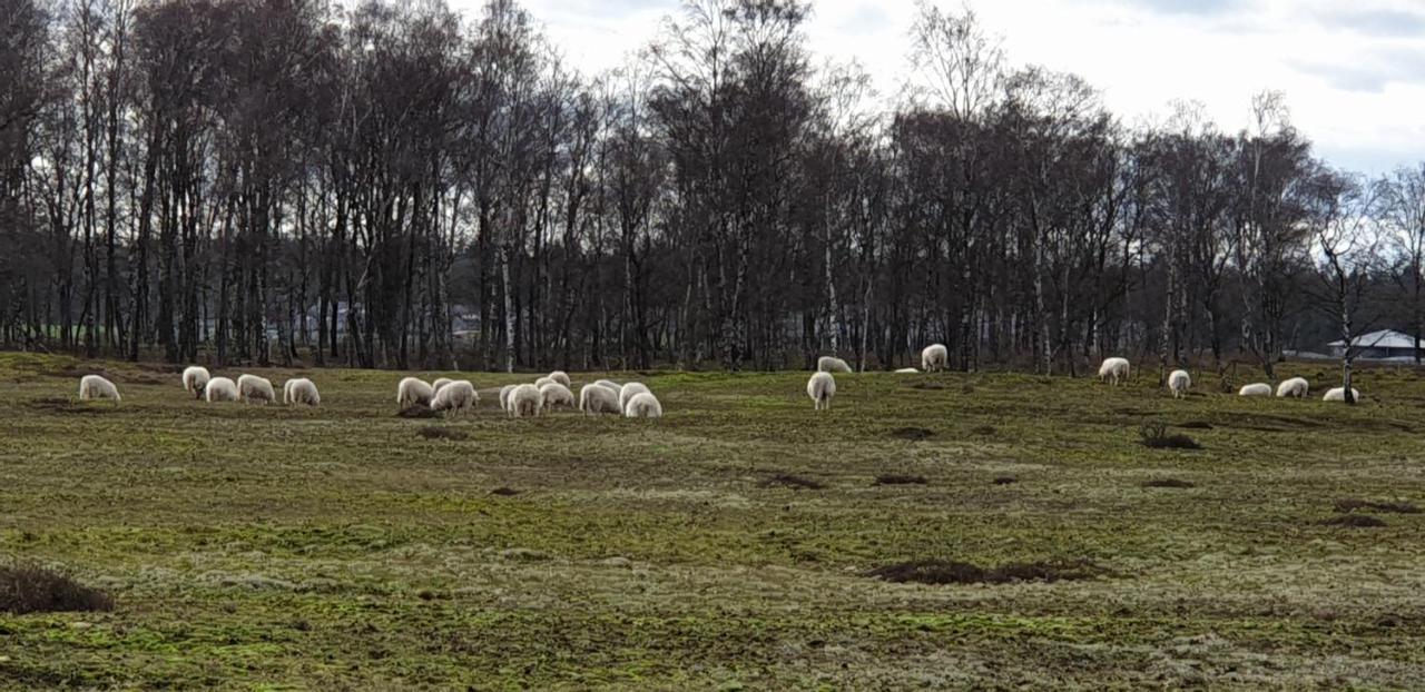Helene Hoeve * Venhorst