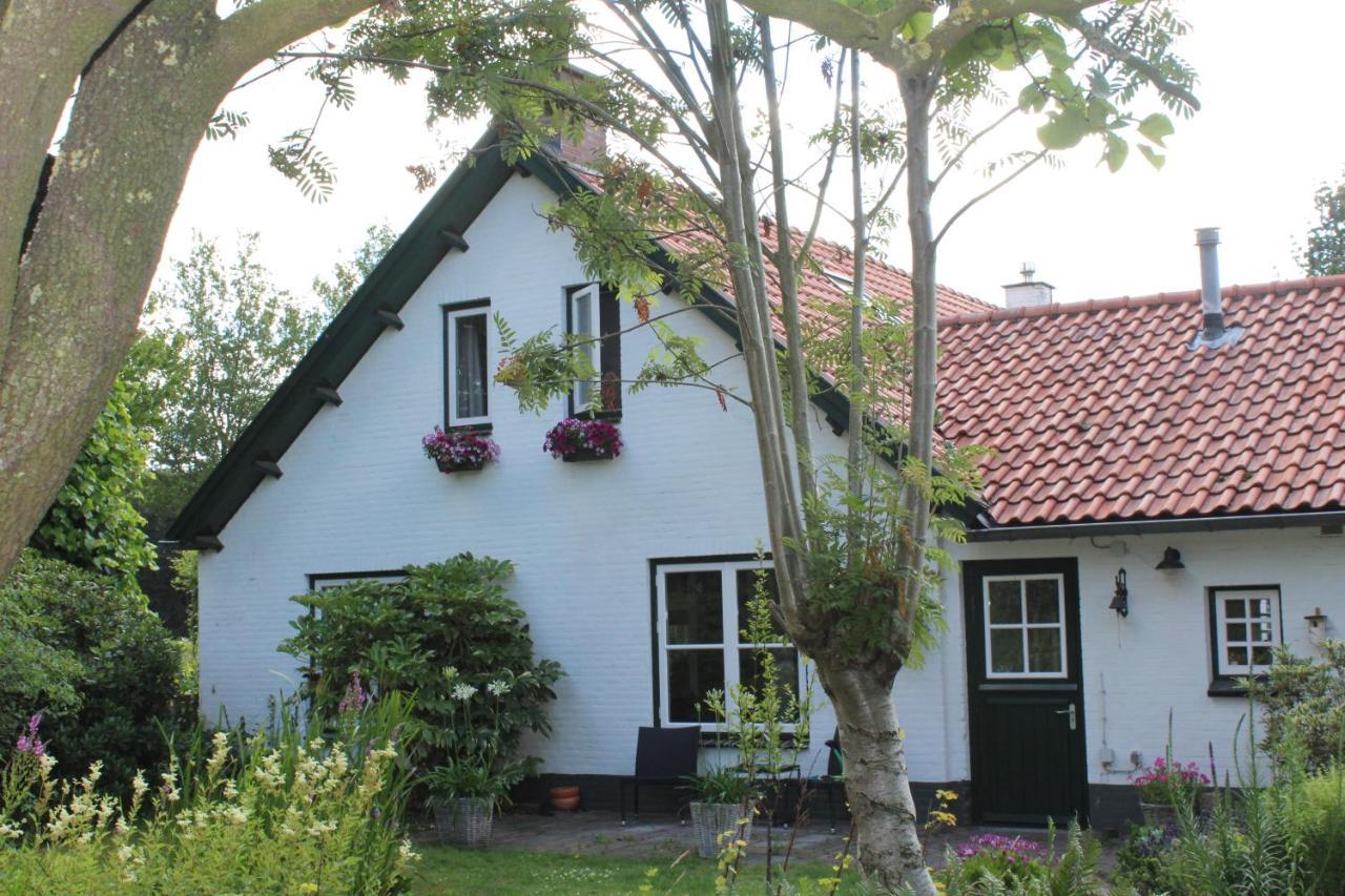 Helene Hoeve Venhorst