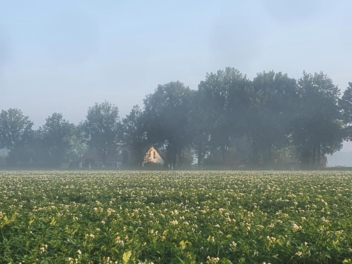 Helene Hoeve * Venhorst