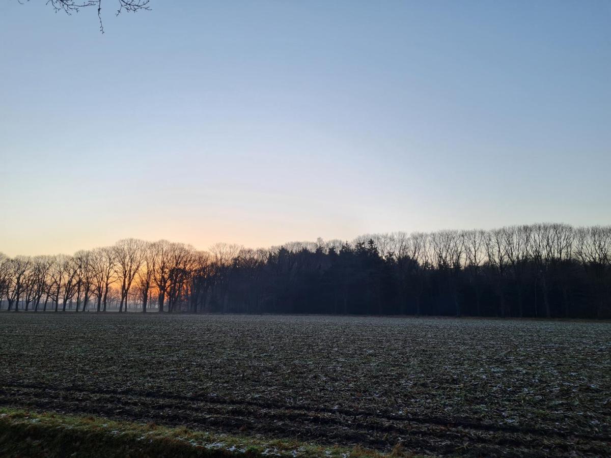 Helene Hoeve