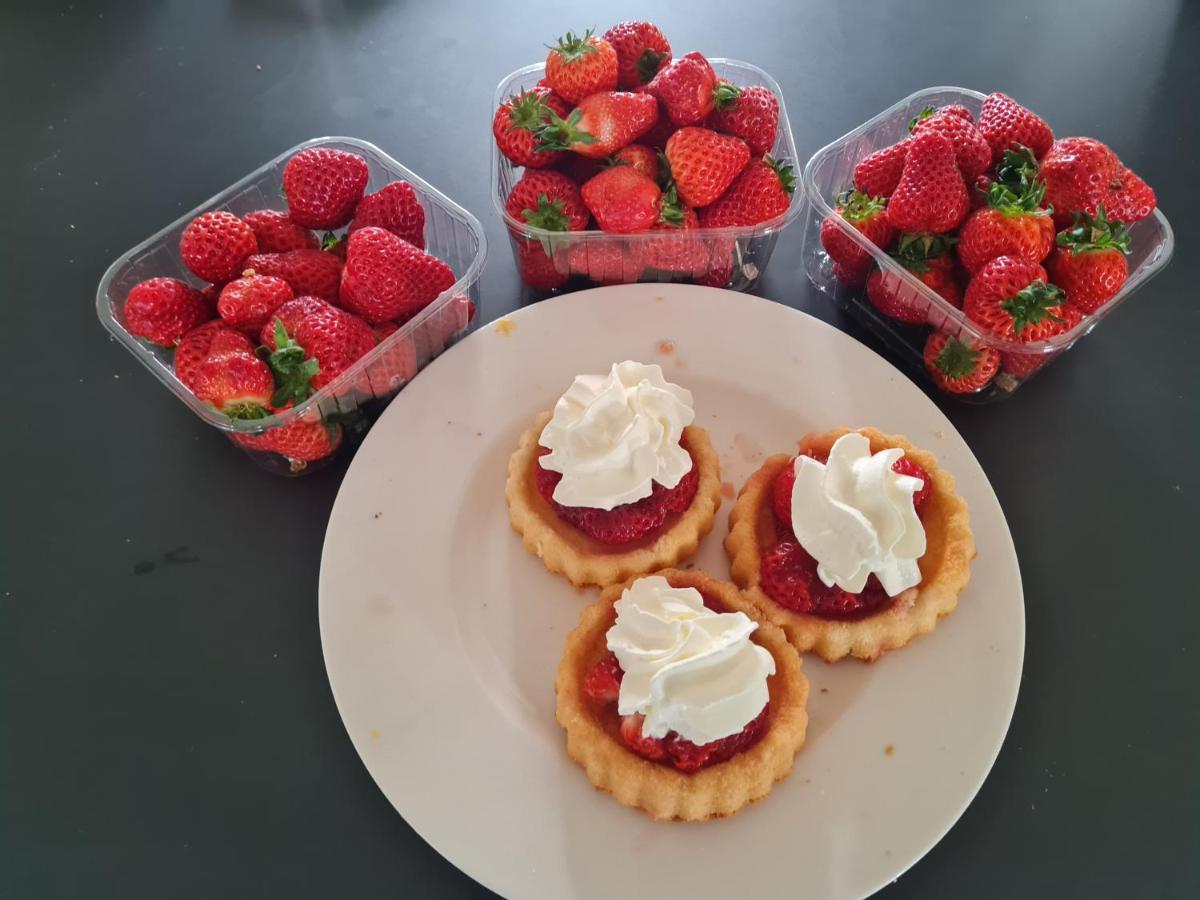 Bed & Breakfast Helene Hoeve *