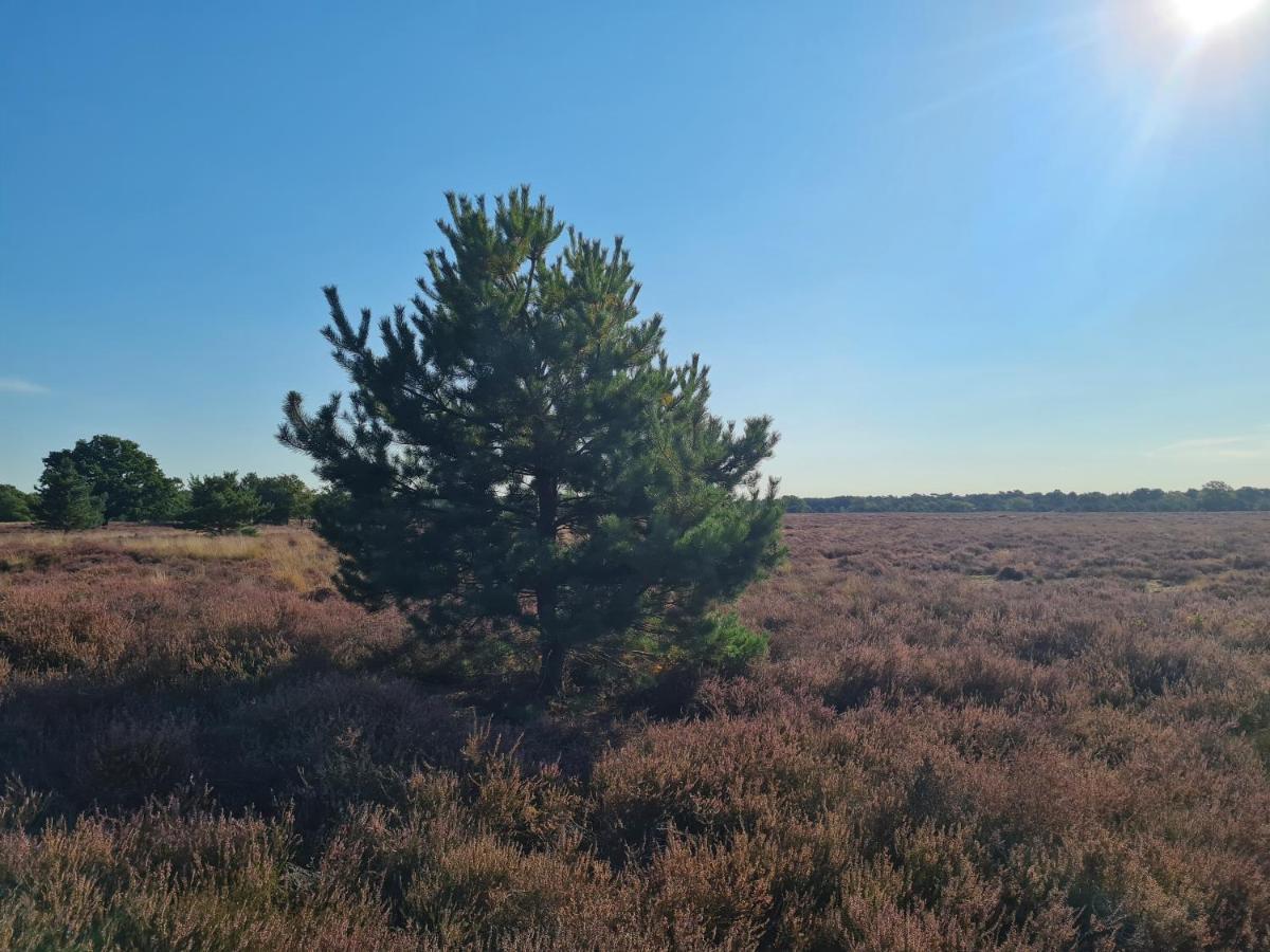 Helene Hoeve Bed & Breakfast